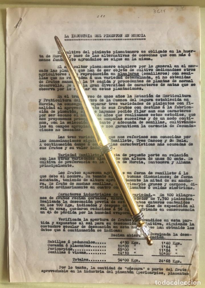 Documentos antiguos: MURCIA-   PIMENTON-      INFORME   1954 - Foto 1