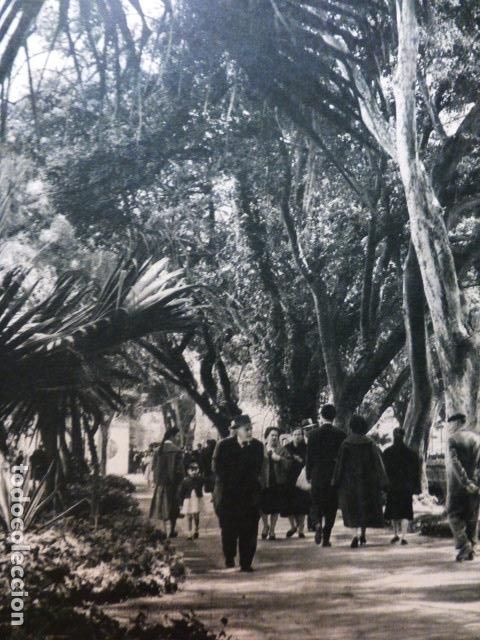 Old Documents: MALAGA PASEO EN LA ALAMEDA ANTIGUA LAMINA HUECOGRABADO