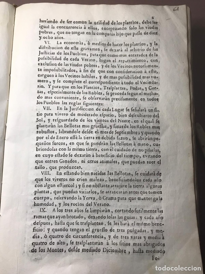 Documentos antiguos: 1748 - Conservaci&oacute;n de montes - Foto 2