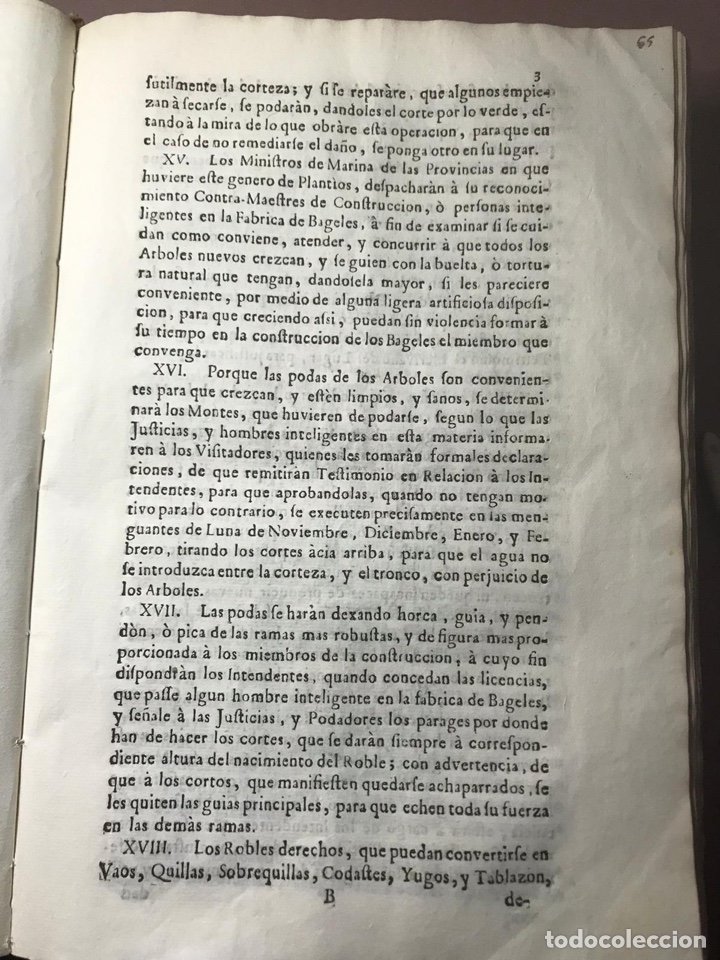 Documentos antiguos: 1748 - Conservaci&oacute;n de montes - Foto 3