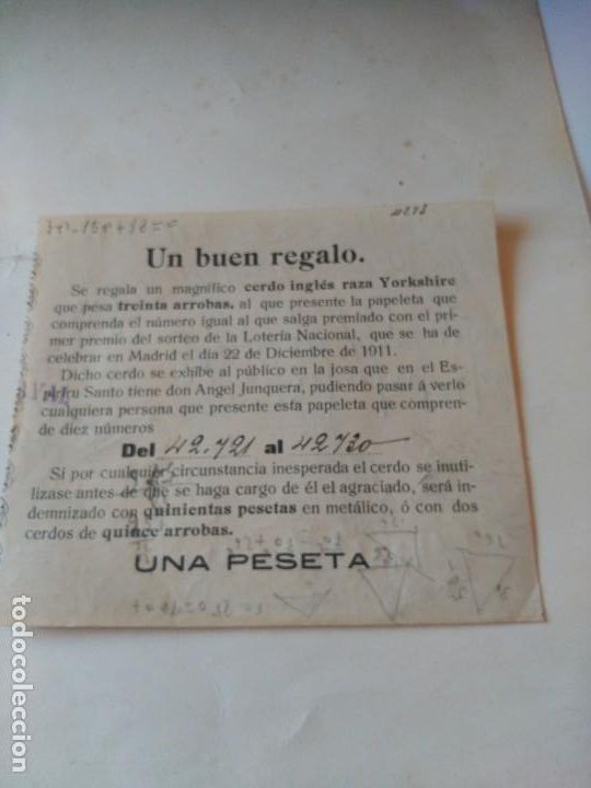 Documentos antiguos: Se regala un magn&iacute;fico cerdo ingl&eacute;s - Foto 1