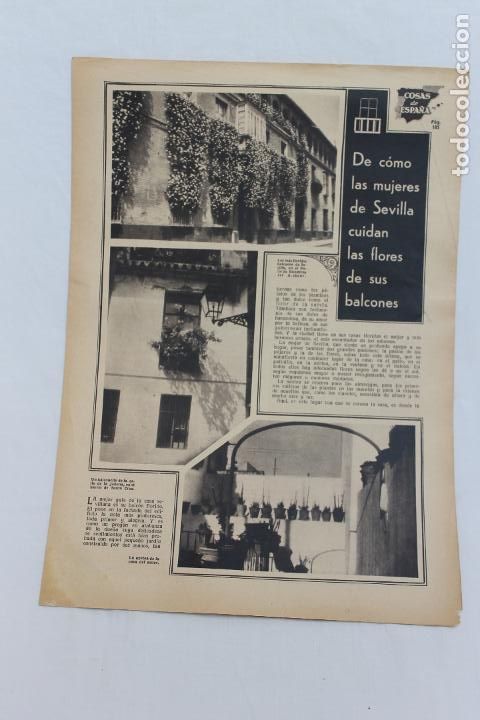 Documentos antiguos: COSAS DE ESPA&Ntilde;A, LAS MUJERES DE SEVILLA CUIDAN LAS FLORES DE SUS BLACONES, 1936, DE REVISTA ALGO