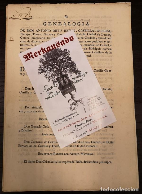 Documentos antiguos: Documento A&ntilde;o 1803. Genealog&iacute;a de D Antonio Ortiz - Foto 1