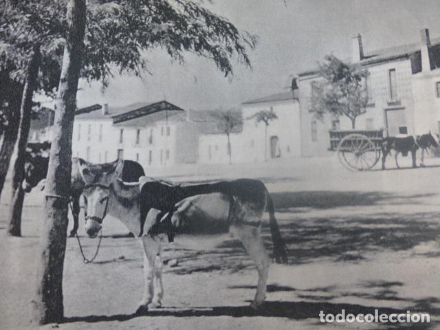 Documentos antigos: PUENTE DEL ARZOBISPO TOLEDO ANTIGUA LAMINA HUECOGRABADO A&Ntilde;OS 50