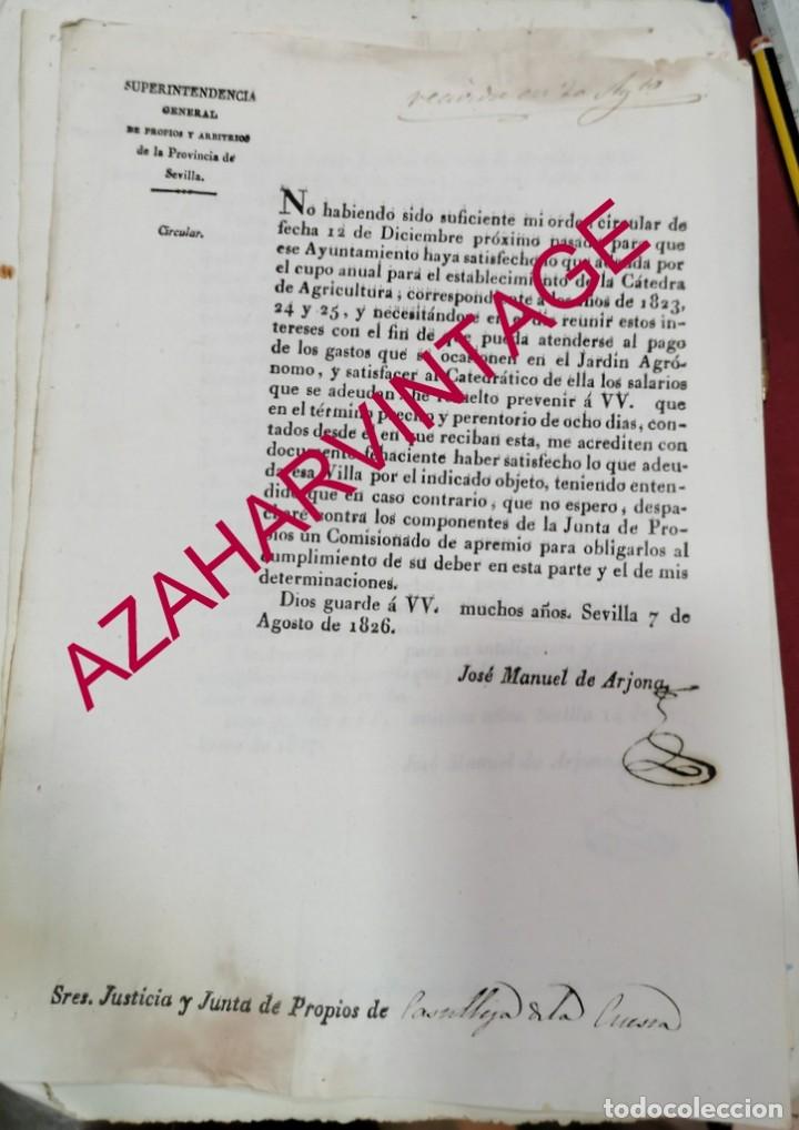 Documentos antiguos: SEVILLA, 1826, SOLICITUD PAGO ATRASADO CUOTAS ANUALES PARA CATEDRA DE AGRICULTURA