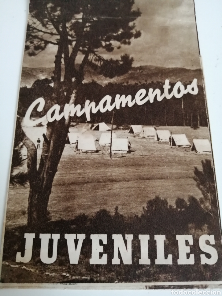 Campamentos Juveniles Frente De Juventudes 19 Vendido En Venta