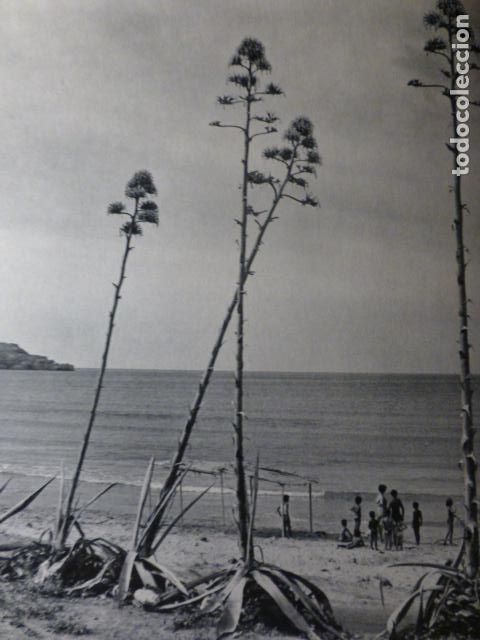 Old Documents: CARTAGENA MURCIA PLAYA ANTIGUO HUECOGRABADO