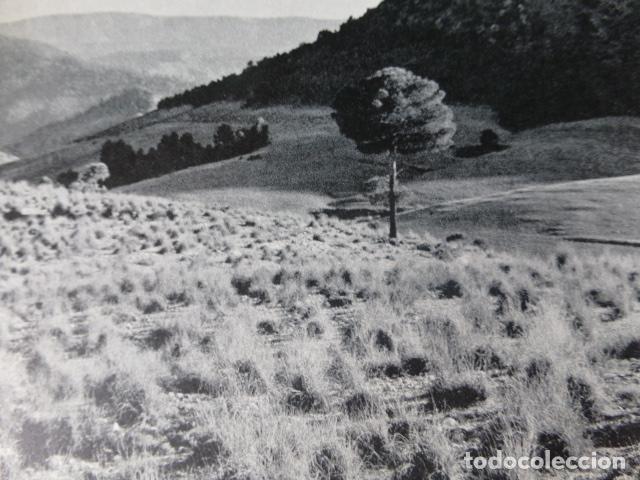 Documenti antichi: YESTE ALBACETE PAISAJE ANTIGUO HUECOGRABADO
