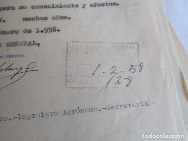 Documentos antiguos: Documentos de Ingeniero Agr&oacute;nomo 1934-1963 - Foto 16