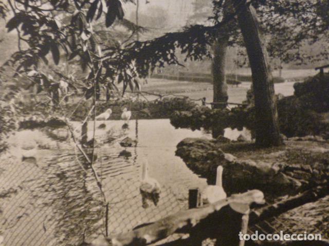 Old Documents: OVIEDO ASTURIAS CAMPO DE SAN FRANCISCO ANTIGUO HUECOGRABADO