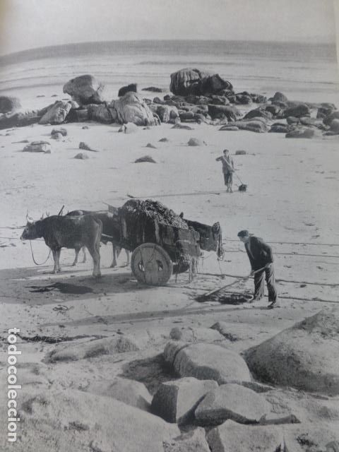 Old Documents: LA LANZADA PONTEVEDRA ESCENA MAR ANTIGUA LAMINA A&Ntilde;OS 40