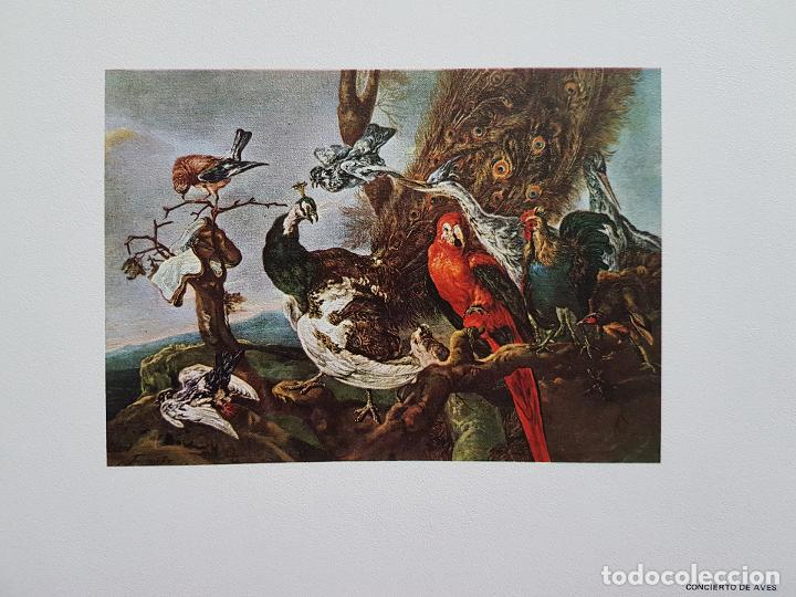 Documenti antichi: CONCIERTO DE AVES JAN FYT PUBLICIDAD EMIBAR LABORATORIOS ABELLO Y EVANS MEDICAL LAMINA 1970