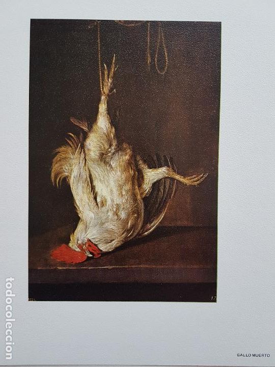 Old Documents: GALLO MUERTO METSU PUBLICIDAD AMPLEX A LABORATORIOS ABELLO LAMINA 1970