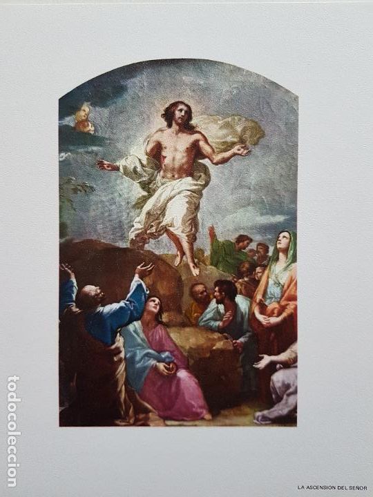 Documentos antigos: ASCENSION BAYEU PUBLICIDAD EBIMAR LABORATORIOS ABELLO Y EVANS MEDICAL LAMINA 1970