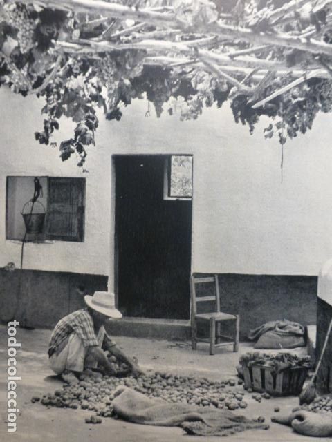 Documentos antiguos: IBIZA ESCENA EN EL PATIO DE UNA CASA ANTIGUA LAMINA HUECOGRABADO A&Ntilde;OS 40
