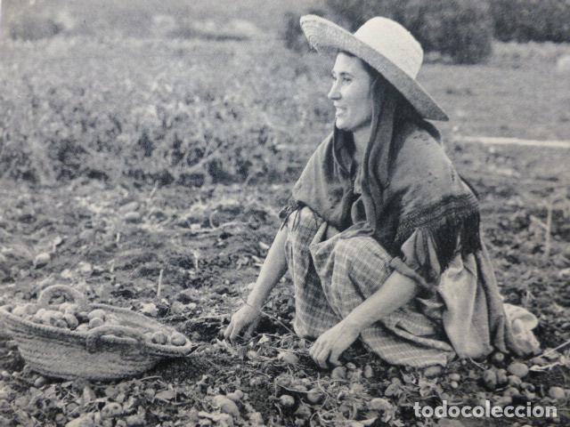 Documentos antiguos: IBIZA CAMPESINA ANTIGUA LAMINA HUECOGRABADO A&Ntilde;OS 40