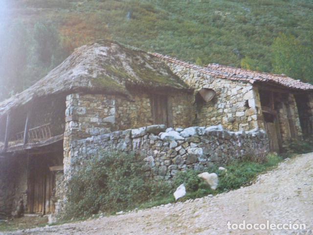 Documentos antiguos: BARRIOS DE LUNA LEON ANTIGUA LAMINA - Foto 1