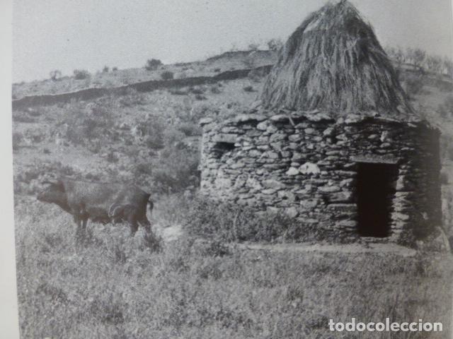 Documentos antiguos: MORCILLO CACERES ANTIGUO HUECOGRABADO - Foto 1