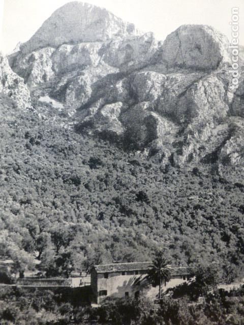Old Documents: FORNALUTX MALLORCA LAMINA HUECOGRABADO A&Ntilde;OS 50