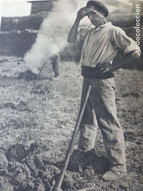 Documenti antichi: ALAVA PA&Iacute;S VASCO CAMPESINO ANTIGUA LAMINA HUECOGRABADO A&Ntilde;OS 40