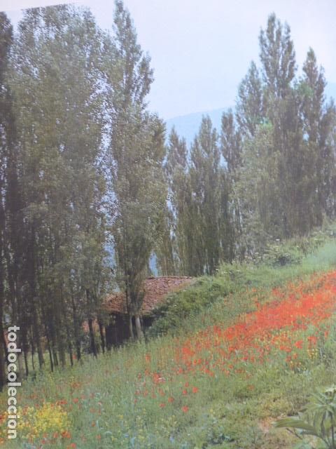 Old Documents: BERCEO LA RIOJA ANTIGUO HUECOGRABADO