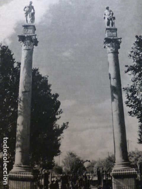 Documentos antigos: SEVILLA ALAMEDA DE HERCULES HUECOGRABADO 1958