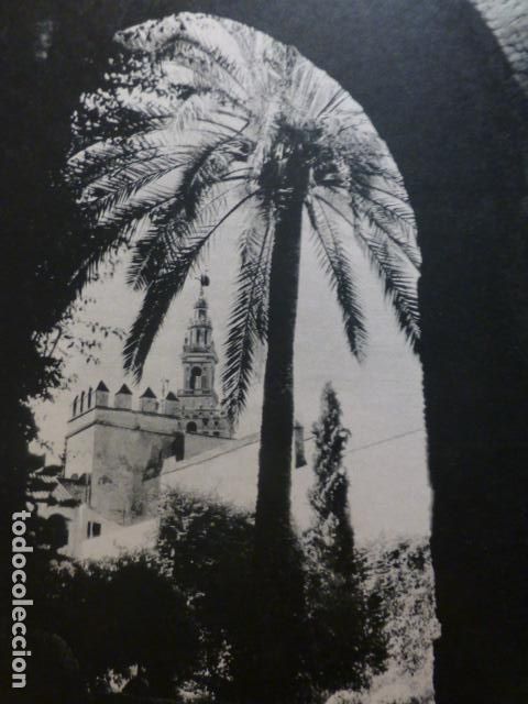 Documentos antigos: SEVILLA LA GIRALDA HUECOGRABADO 1958