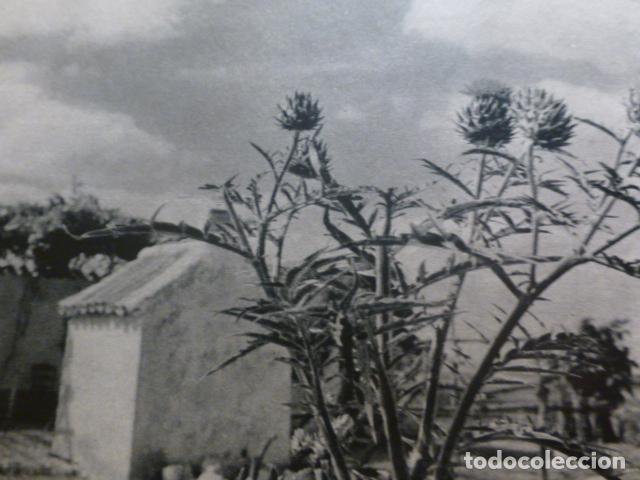 Documentos antigos: ECIJA SEVILLA CASERIO CAMPESINO HUECOGRABADO 1958