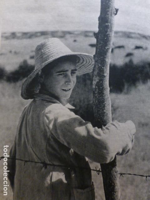 Old Documents: ECIJA SEVILLA CASERIO CAMPESINO HUECOGRABADO 1958