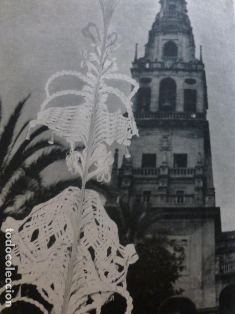 Documentos antigos: CORDOBA DOMINGO DE RAMOS HUECOGRABADO 1958
