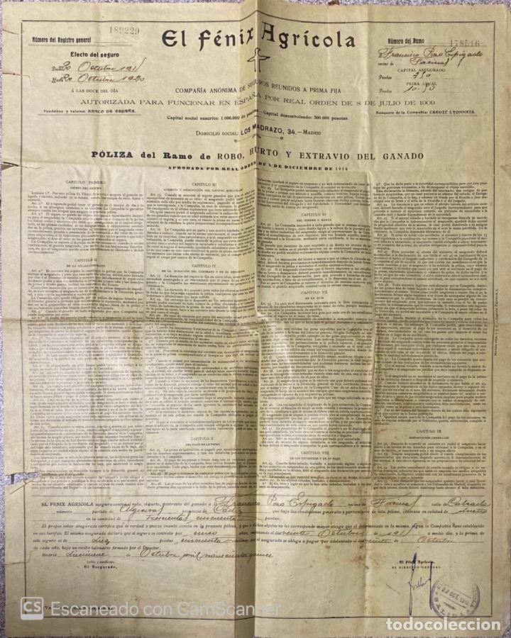 Alte Dokumente: EL F&Eacute;NIX AGRR&Iacute;COLA. P&Oacute;LIZA DEL RAMO DE ROBO, HURTO Y EXTRAVIO DEL GANADO. MADRID, 1909. VER FOTOS