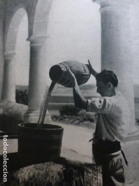 Old Documents: JEREZ DE LA FRONTERA CADIZ ANTIGUA LAMINA HUECOGRABADO A&Ntilde;OS 50