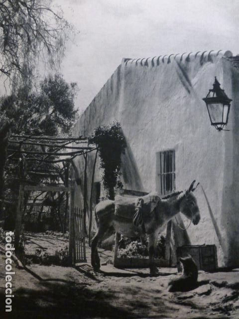 Documenti antichi: CONIL CADIZ ANTIGUA LAMINA HUECOGRABADO A&Ntilde;OS 50