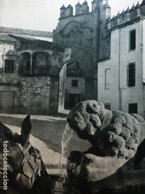 Documentos antiguos: BAEZA JAEN ANTIGUA LAMINA HUECOGRABADO A&Ntilde;OS 50