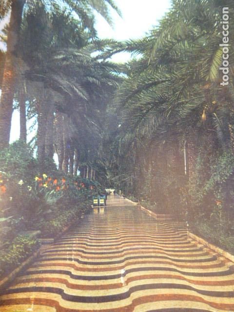 Documentos antigos: ALICANTE ANTIGUA LAMINA HUECOGRABADO