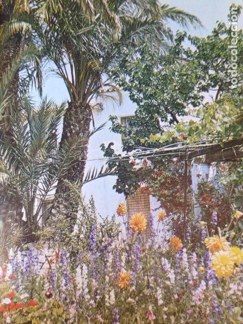 Documentos antigos: ALTEA ALICANTE ANTIGUA LAMINA HUECOGRABADO