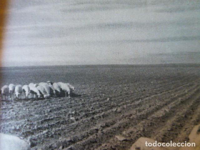 Documentos antigos: LA MANCHA ALBACETE ANTIGUA LAMINA HUECOGRABADO