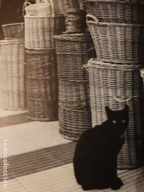 Old Documents: GATA DE GORGOS ALICANTE CESTERIA ANTIGUA LAMINA HUECOGRABADO