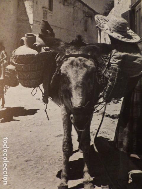 Old Documents: ALARC&Oacute;N CUENCA BURRO CON CESTOS T&Iacute;PICOS ANTIGUA LAMINA HUECOGRABADO