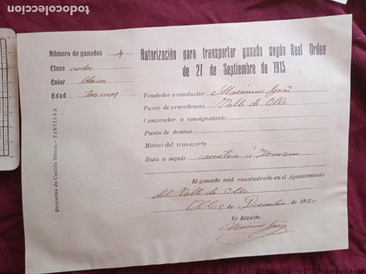 Documentos antiguos: Pitillas, Navarra. Autorizaci&oacute;n para transporte de ganado 1920