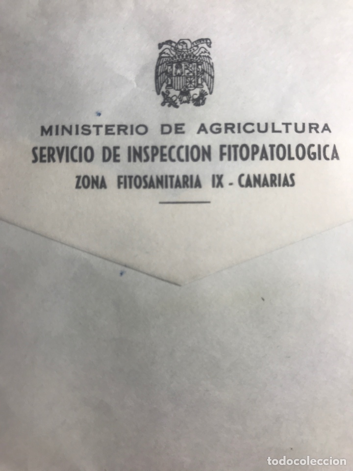 Documentos antiguos: Sobre Ministerio Agricultura zona fisosanitaria IX CANARIAS correspondencia oficial