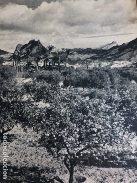 Alte Dokumente: ALICANTE HUERTA ANTIGUO HUECOGRABADO