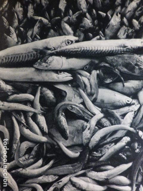 Alte Dokumente: ALICANTE PESCADO ANTIGUO HUECOGRABADO