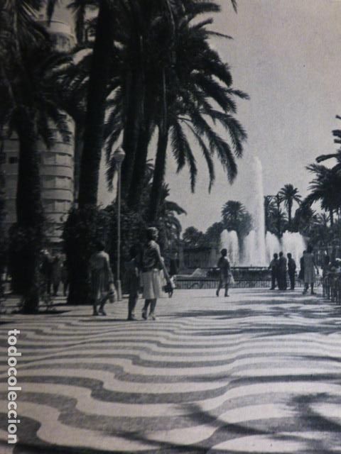 Old Documents: ALICANTE PASEO DE LA ESPLANADA ANTIGUO HUECOGRABADO