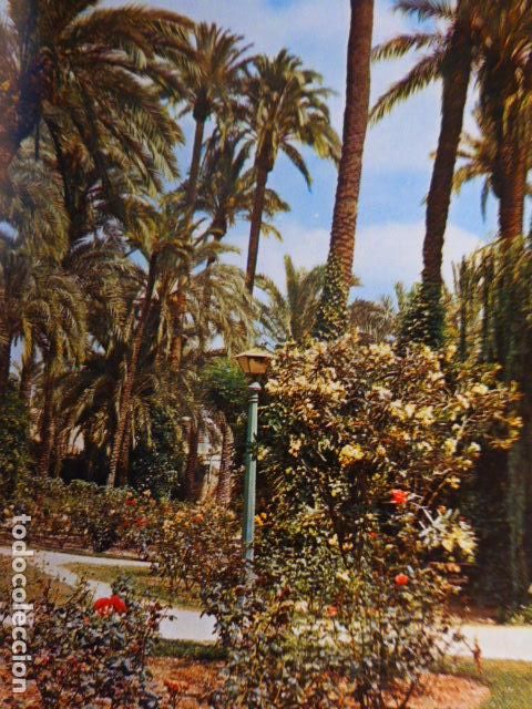 Documentos antiguos: ELCHE ALICANTE ANTIGUO HUECOGRABADO