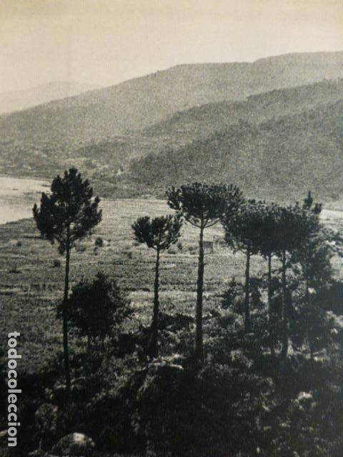 Old Documents: VALLE DEL RIO AVIA ORENSE VISTA ANTIGUO HUECOGRABADO