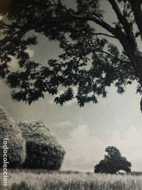 Documentos antiguos: ORENSE MEDAS DE CENTENO ANTIGUO HUECOGRABADO