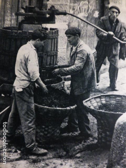 Documentos antigos: RIBADAVIA ORENSE HACIENDO MOSTO ANTIGUO HUECOGRABADO