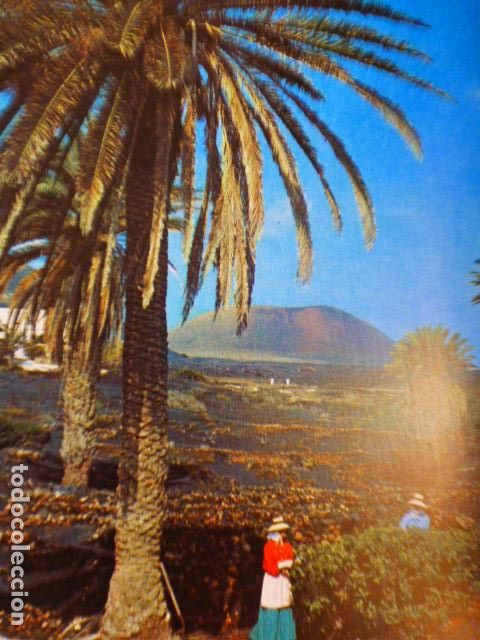 Documentos antigos: LA GERIA LANZAROTE CULTIVOS ANTIGUO HUECOGRABADO