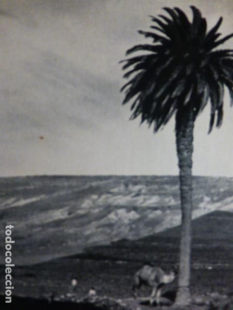 Alte Dokumente: LANZAROTE PAISAJE ANTIGUO HUECOGRABADO